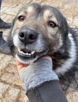 ASAMI ~ ein wahrer Sonnenschein - Duisburg