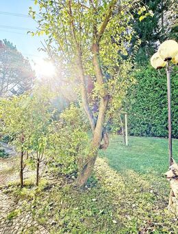 Hochwertig erbaut & mitten in der Natur in Hattingen (Holthausen) - Hattingen