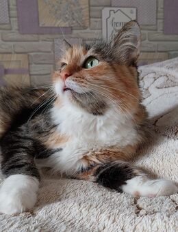 Eine Prinzessin sucht zu Hause - Stuttgart