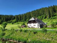 Der Winterberghof - 1668 - Vöhrenbach
