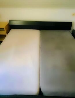 hochwertiges Doppelbett 200/200cm - Brüggen (Burggemeinde)