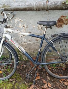 Bastler-Fahrrad Conquest 28" - Düsseldorf