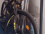 Neues Mountainbike 29" - Hannover Vahrenwald-List