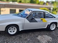 1:24 OPEL Modellautos--Corsa--Diplomat--Kapitän--Omega--Manta--Opel GT Preise ab 10 € - Meckenheim