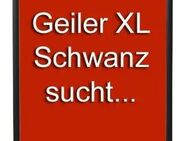 Bigeiler Xl Schwanz mit sehr praller Eichel sucht........ - Köln Zentrum