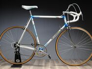 Brouwer Rennrad, Rahmenhöhe 61,5 cm, 1980 Jahre, Shimano 105 Austattung, toller Rahmen aus holländischer Schmiede, super Zustand, komplett überholt und aufgearbeitet - Varel