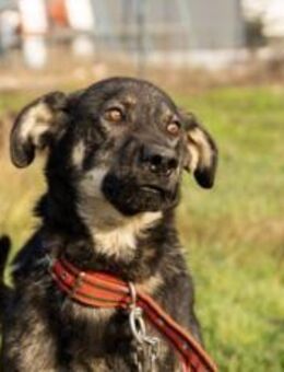 Matteo wartet auf seine Familie - München