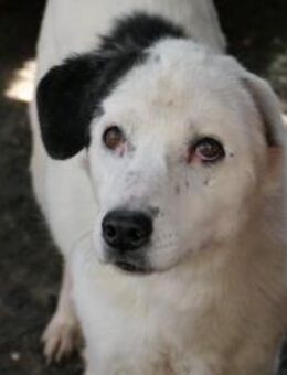 liebe Seniorin Carla - Kallmünz