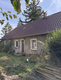 HORN IMMOBILIEN ++ Brietzig bei Pasewalk, Haus mit großem Grundstück, stark sanierungsbedürftig - Brietzig