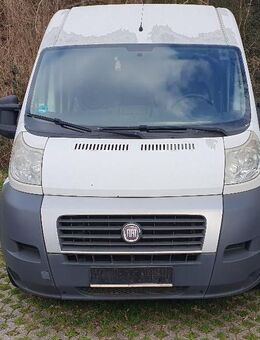 Fiat Ducato Multijet 130 L2H2 - Wuppertal