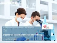 Experte für Systemanalyse und Forschung - Frankfurt (Main)