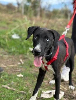 Ocean Junge Seele - Berlin