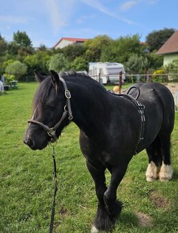 Tinkermix Wallach - Grabfeld