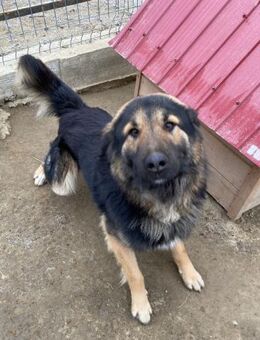 💙 FELIX 💙 - Markkleeberg