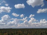 Belle vue: Großzügige 3Zi.-Whg. mit wunderschöner Aussicht (11.OG) - Karlsruhe