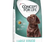 12 kg Concept for Life zum Sonderpreis! - Large Junior
