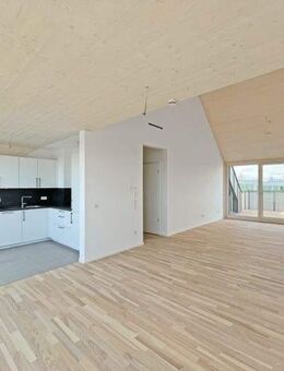 Moderner- 3-Zi.-Dachterrassentraum - München