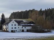 Alleinlage ° Wohnhaus mit Stallungen und viel Land - Höchstädt (Fichtelgebirge)