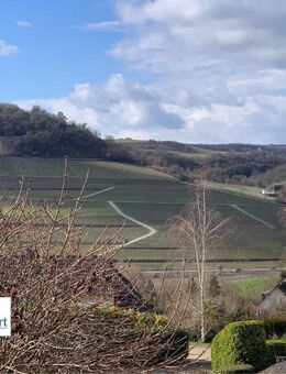 NITTEL: WOHNHAUS MIT KELLER + PHOTOVOLTAIK AM ORTSRAND! - Nittel