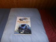 Mercedes-Benz LKW - Bann