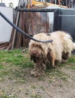 Ich heiße Sam ... - Frankfurt (Main)