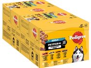 Pedigree Adult Frischebeutel Protein Plus in Gelee - Sparpaket: 48 x 85 g (4 Varietäten)