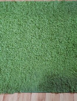 Teppich 1,70 m x 1,20 m abzugeben - Dortmund