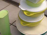 Tupperware Konvolut grün - Rheine