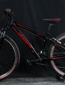 Cooles Kinderbike, LEOPARD DYNAMITE, B25/248 in 5000