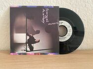 SCHALLPLATTE (Feargal Sharkey - You little Thief) - Leipzig Alt-West