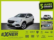 Opel Grandland X 1.6 Turbo Hybrid ELEGANCE Navi. LED - Hof