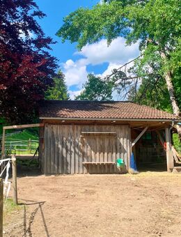 Offenstall zu verkaufen - Leutkirch (Allgäu) Zentrum