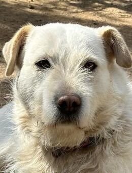 NIA - sie kennt das Leben im Haus - Dänischenhagen