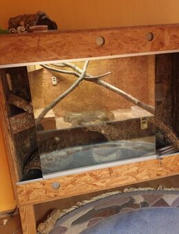 OSB-Terrarium - Waldsolms