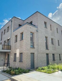 Moderne 4-Zi.- Penthouse-Wohnung in Nähe zur Schlei - Kappeln (Schleswig-Holstein)
