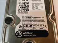 1TB 3,5'' Festplatte WD Black - Willich