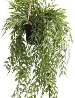 Künstliche Zimmerpflanze Bambus-Hängeampel Bambus, Botanic-Haus, Höhe 50 cm