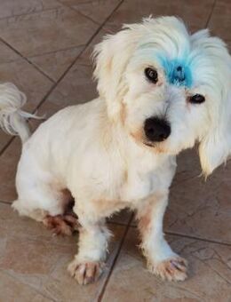 Samy - Schwaig (Nürnberg)