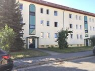 Gemütliche 3-Raum-Wohnung in grüner und ruhiger Lage - Heidenau (Sachsen)