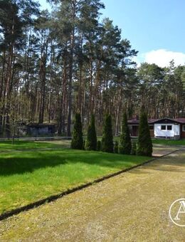 Sehr gepflegter Bungalow mit Garage auf liebevoll angelegtem Grundstück in Borkheide - Borkheide