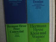 Literatur Hesse, Goethe, Mann, Böll, Storm, Fontane, "Ruhm und Ehre-Die Nobelpreisträger für Literatur" usw. 30 Bücher zus. 5,- - Flensburg