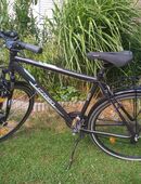 Herren Trekkingrad 28" in 92318