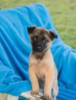 257990 - wir können gleich losgehen - Overath