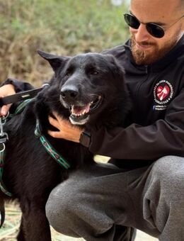 King - Neubrunn (Bayern)