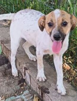 Holly möchte geliebt werdeb - Olsberg