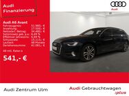 Audi A6, Avant sport advanced 40 TDI qu, Jahr 2024 - Ulm