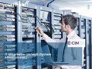 IT-Mitarbeiter (m/w/d) (System Administrator) - Münster