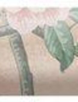 LAURA ASHLEY Vliestapete Eglantine, gemustert, FSC® zertifiziert, mit lebhaftem Druck, 10 Meter Länge