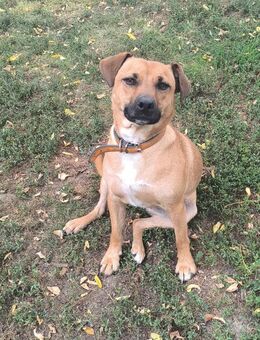 💚 Hello Vom Überlebenskünstler zum He - Kassel