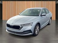 Skoda Octavia, 2.0 TDI Selection, Jahr 2023 - Dresden